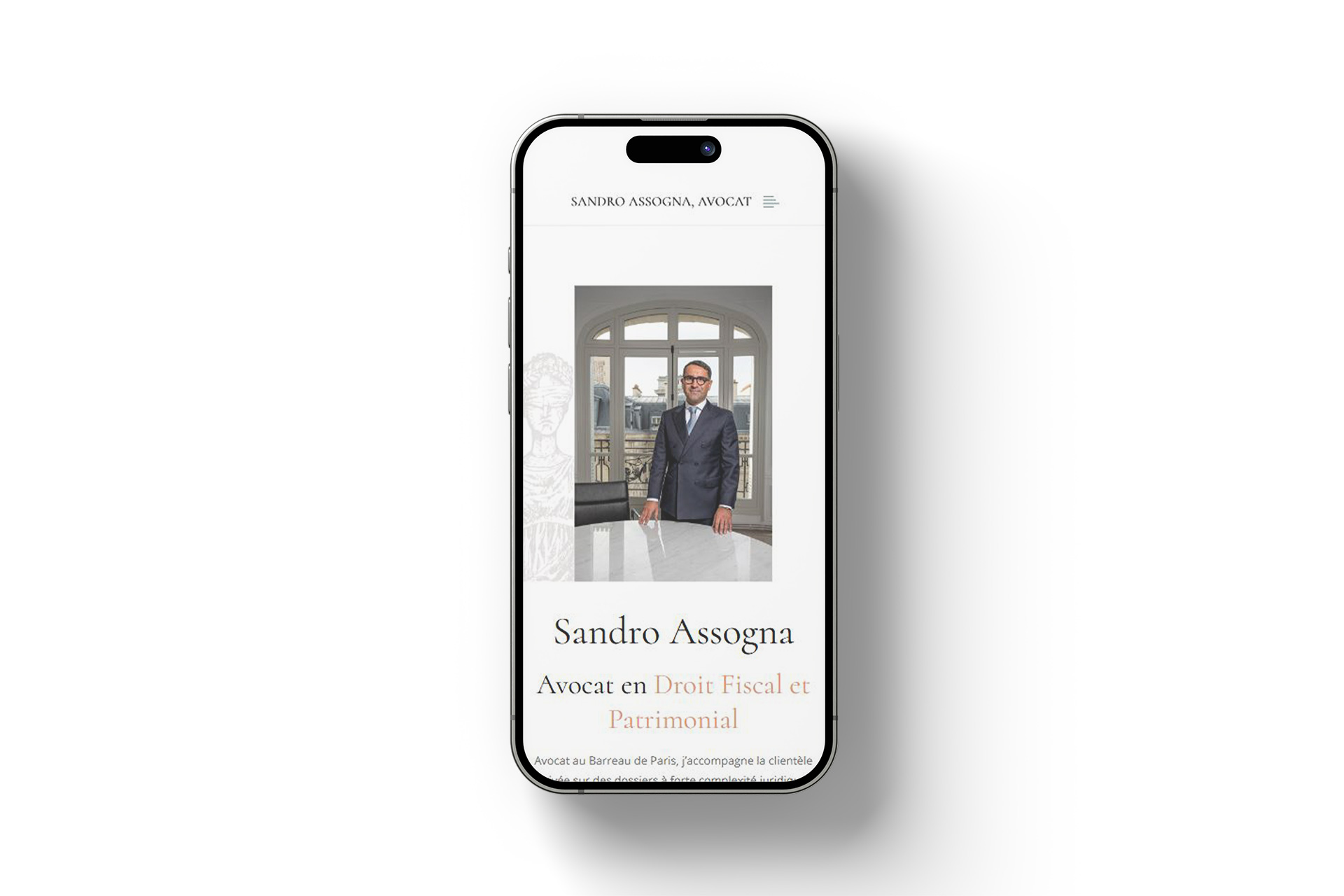 sito Sandro Assogna visualizzazione mobile prima schermata